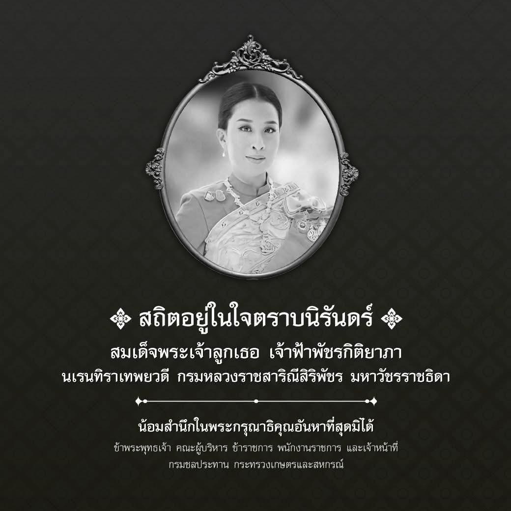 น้อมสำนึกในพระกรุณาธิคุณอันหาที่สุดมิได้